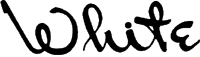 Logo - White Instruments